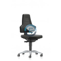 Chaise Ergonomique